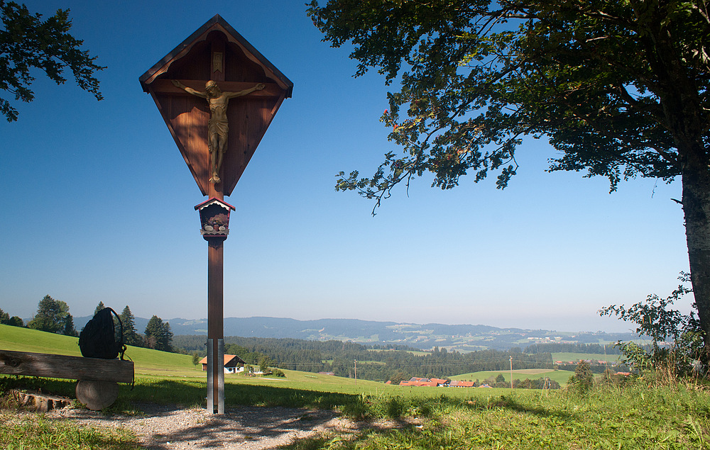 Zurück aus dem Allgäu