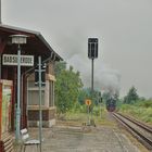 Zurück aus dem Harz ... (1)