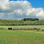 Zurück aus dem Harz ... (10)