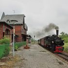 Zurück aus dem Harz ... (2)