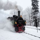 Zurück aus dem Harz.... 