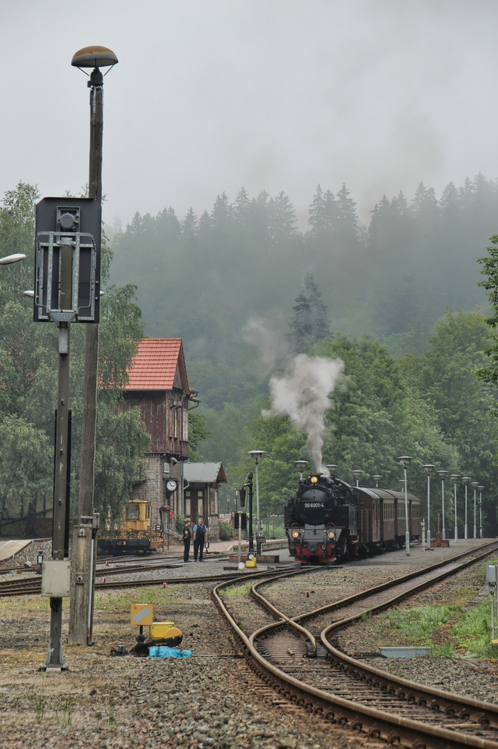 Zurück aus dem Harz ... (5)