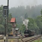 Zurück aus dem Harz ... (5)