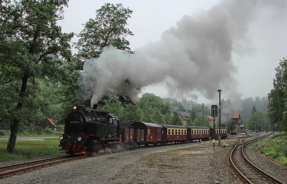 Zurück aus dem Harz ... (6)