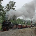 Zurück aus dem Harz ... (6)