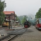 Zurück aus dem Harz ... (7)