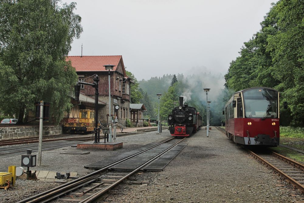 Zurück aus dem Harz ... (7)