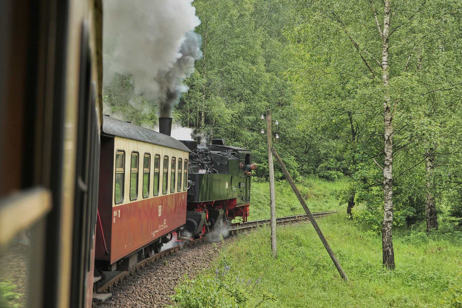 Zurück aus dem Harz ... (8)