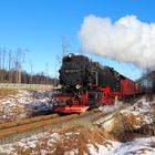 Zurück aus dem Harz … 