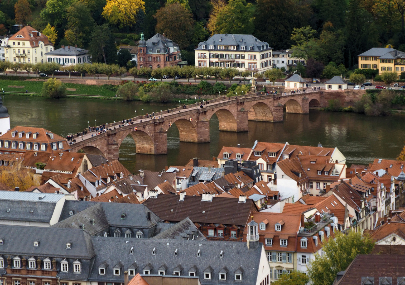 Zurück aus dem herbstlichen Heidelberg...