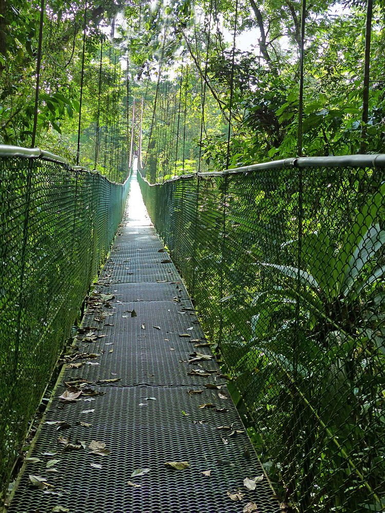 Zurück aus dem Regenwald von Costa Rica