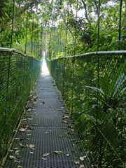 Zurück aus dem Regenwald von Costa Rica