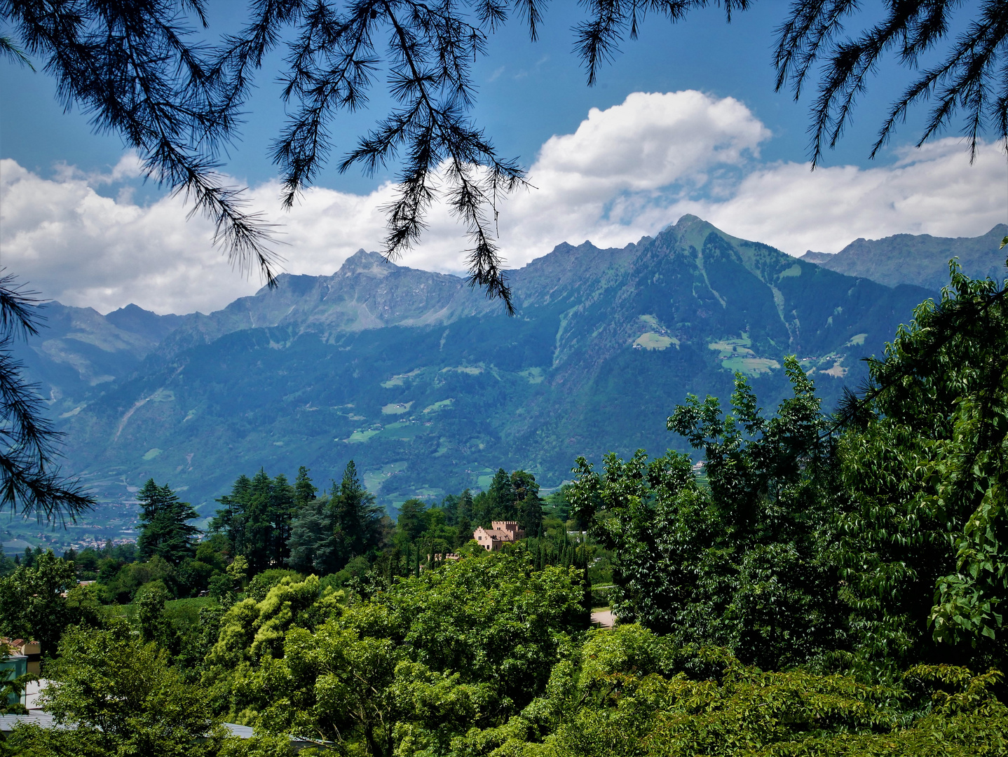 Zurück aus dem Urlaub - Blick auf die Berggipfel der Texelgruppe bei Meran