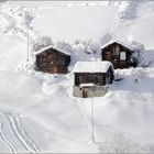 ...zurück aus dem Winter