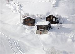 ...zurück aus dem Winter