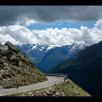 zurück aus den Alpen