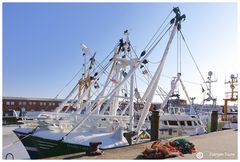 Zurück aus der ***Eisigen und stürmischen Nordsee*** 4.3.2018 Cuxhaven