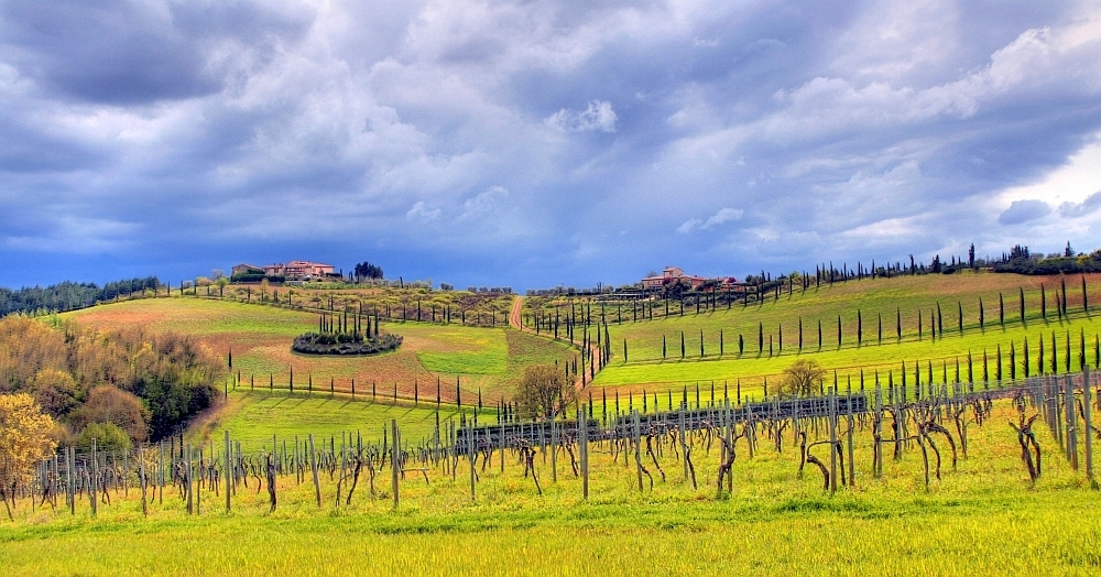 Zurück aus der Toscana