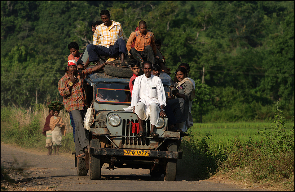 zurück aus orissa