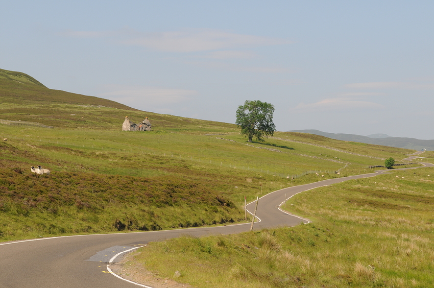 Zurück aus Schottland