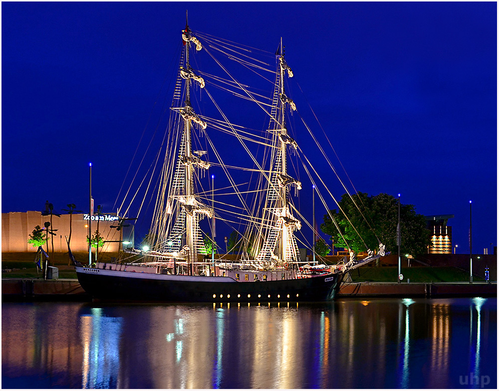 Zurück im Hafen