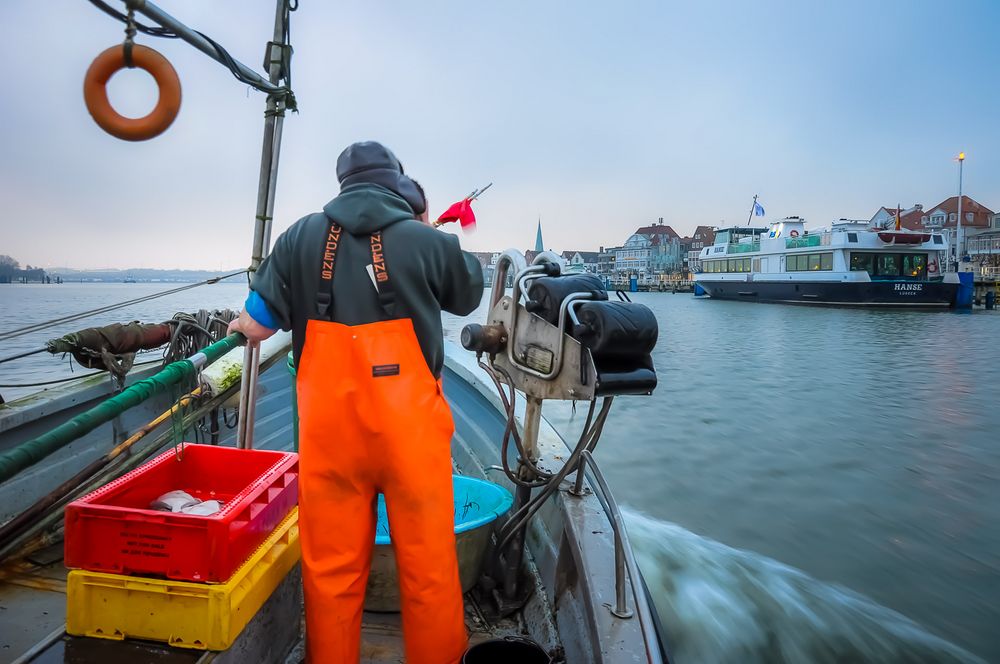 ZURÜCK IM HAFEN