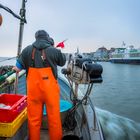 ZURÜCK IM HAFEN