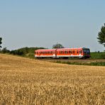 Zurück im Kornfeld