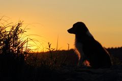 zurück im letzten Abendlicht !