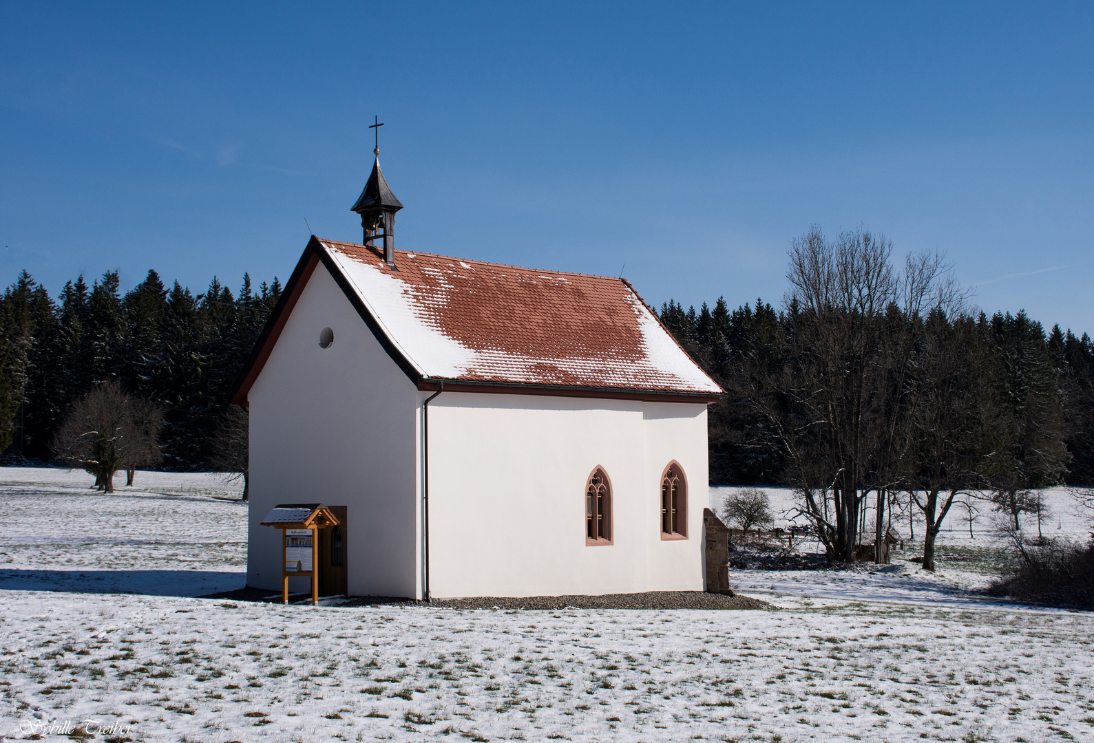 Zurück im Winter