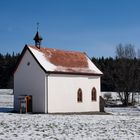 Zurück im Winter