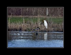 Zurück in das Moor Woeste