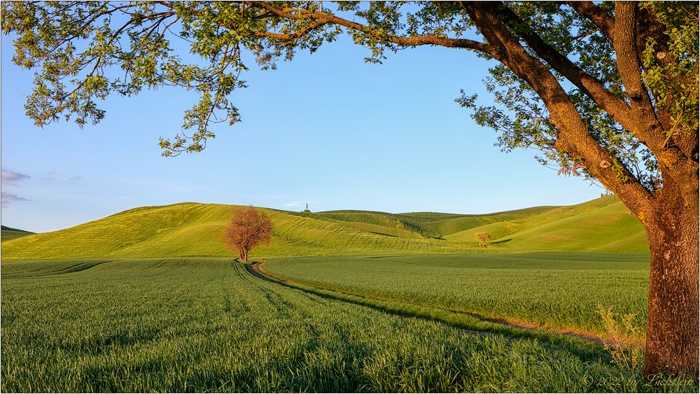 Zurück in den Frühling