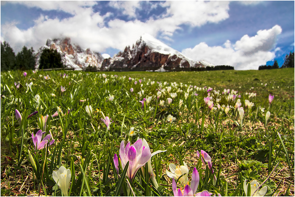 ...zurück in den Frühling