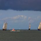 Zurück in den Hafen