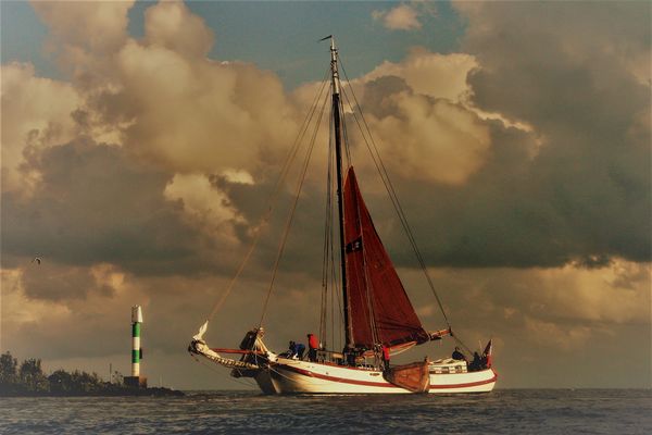 Zurück in den Hafen