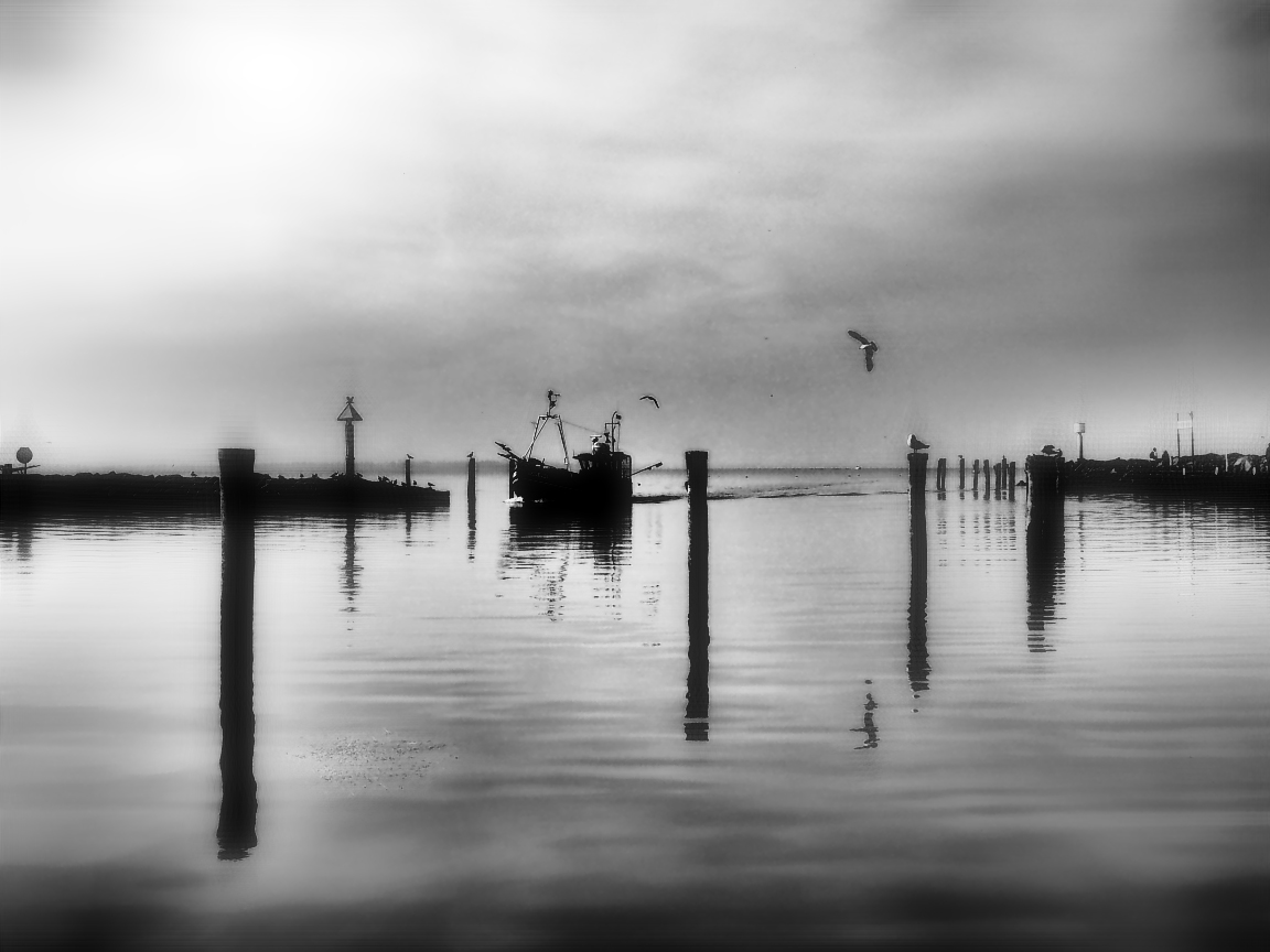 zurück in den hafen ...