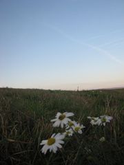 zurück in den Sommer