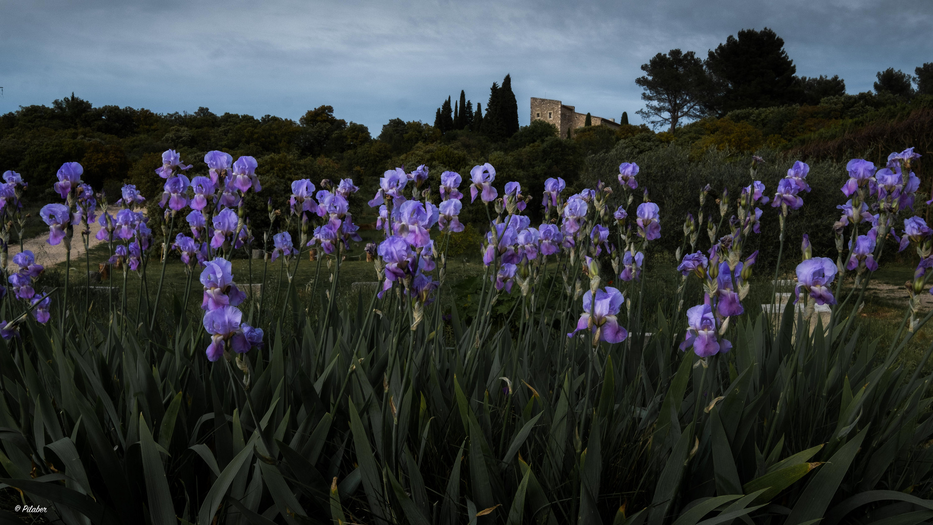 Zurück in die Provence