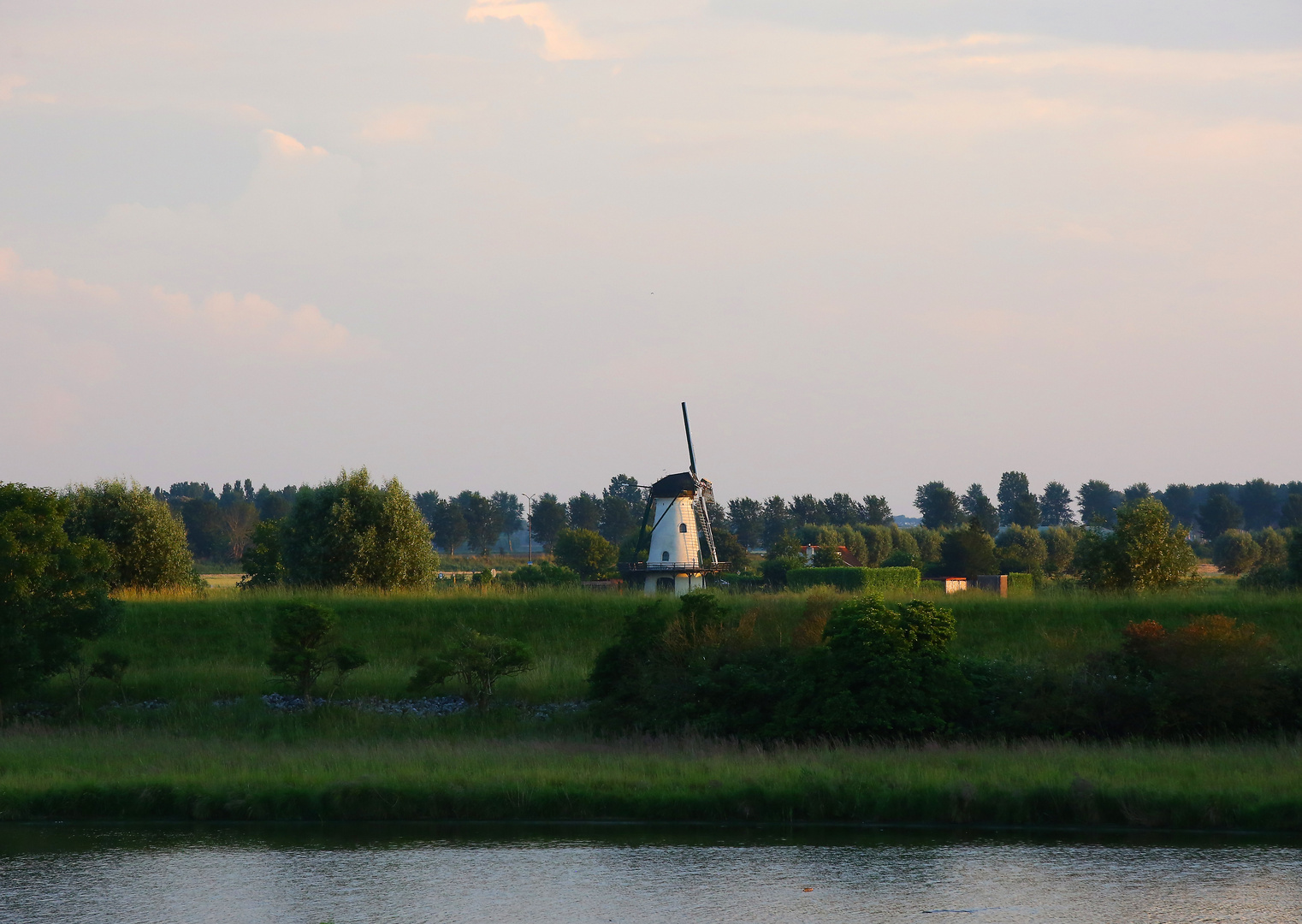 Zurück in Holland