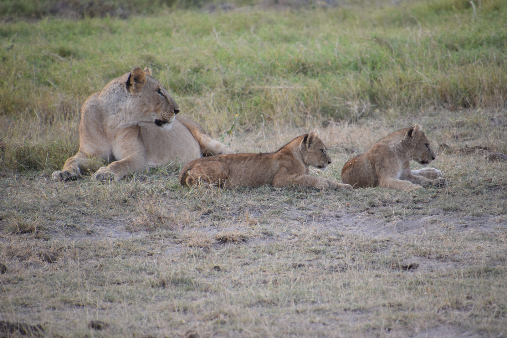 Zurück in Kenia 