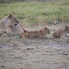 Zurück in Kenia 