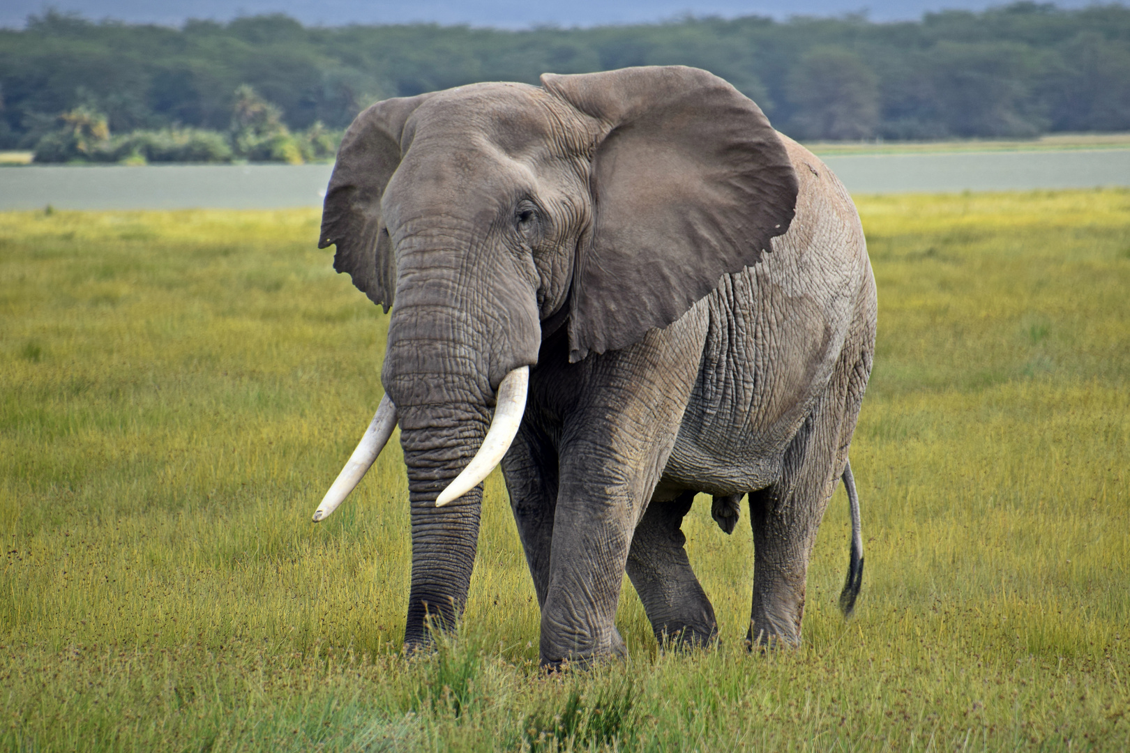 Zurück in Kenia 