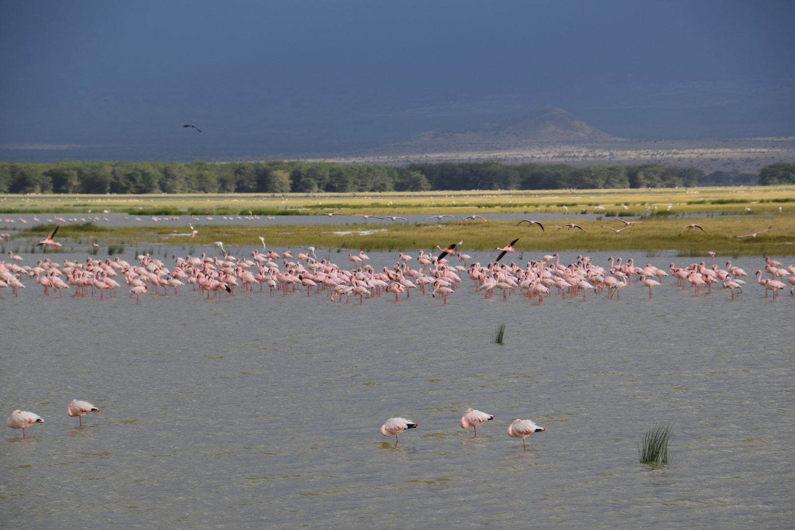 Zurück in Kenia 