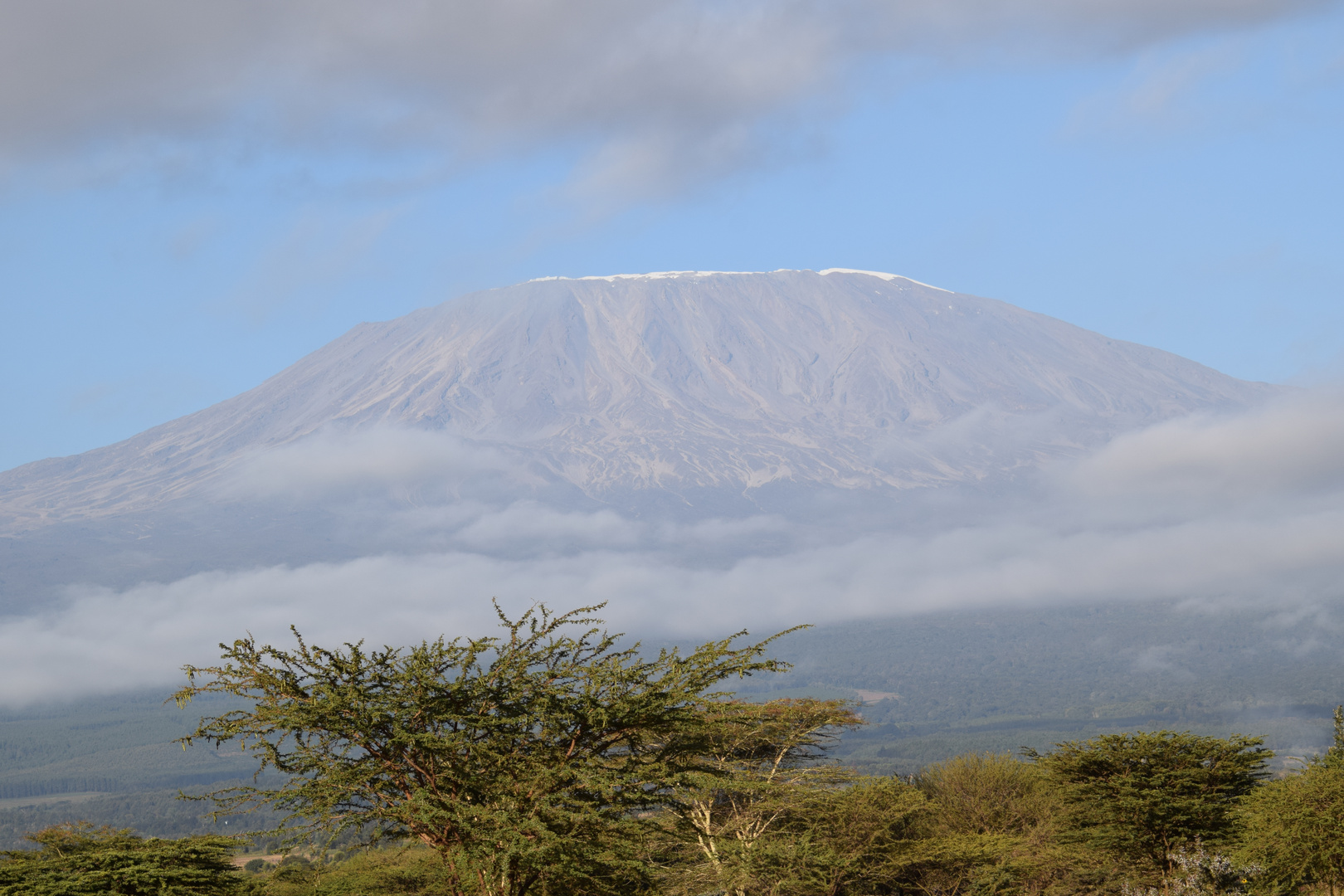 Zurück in Kenia 