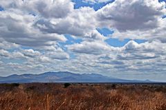 Zurück in Kenia 