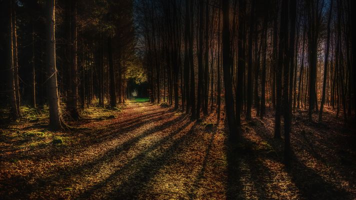 ...zurück ins Leben...