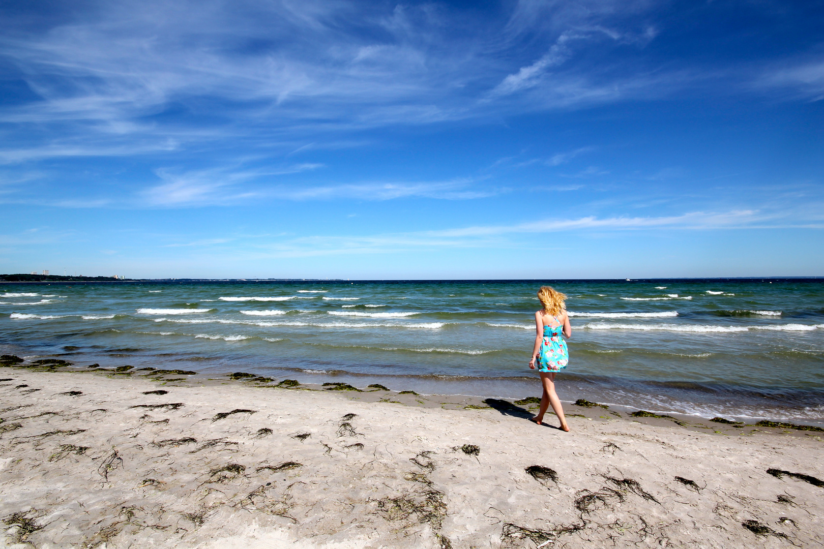 Zurück ins Meer