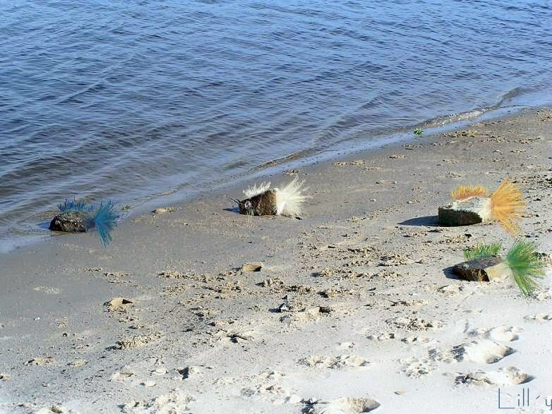 zurück ins Meer ;-)