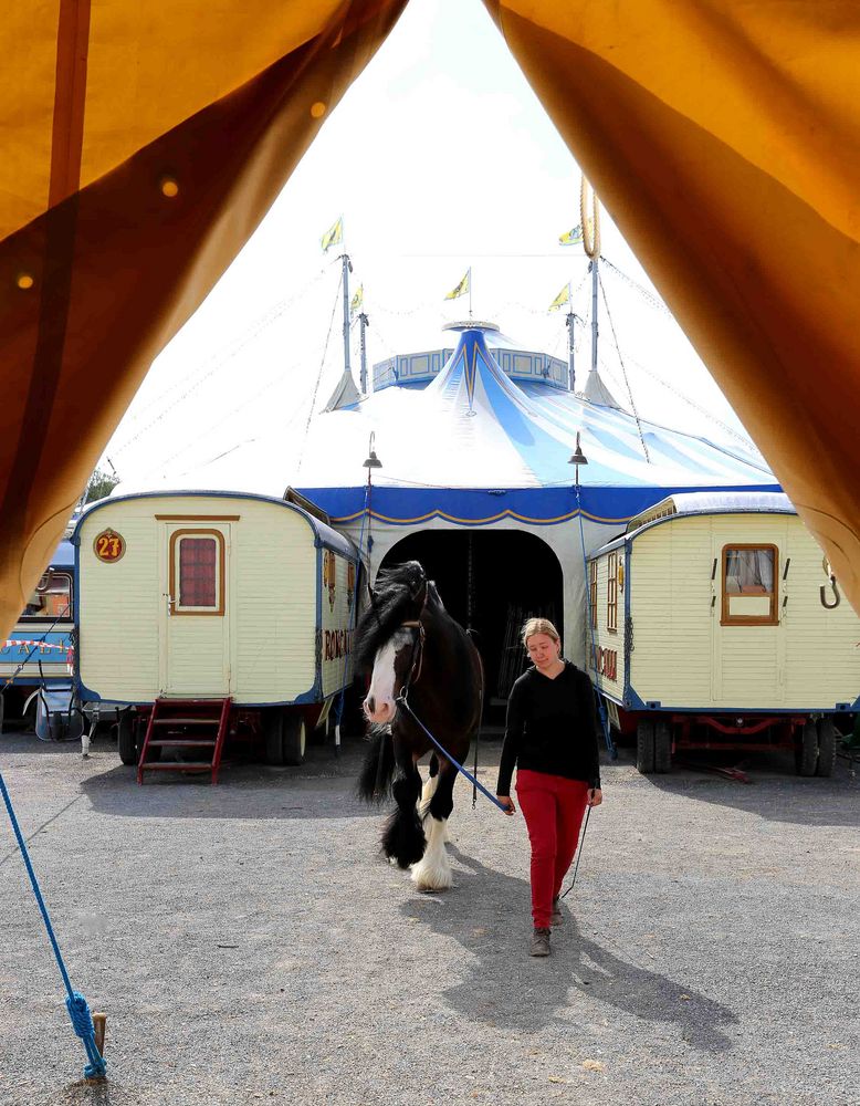 Zurück ins Stallzelt